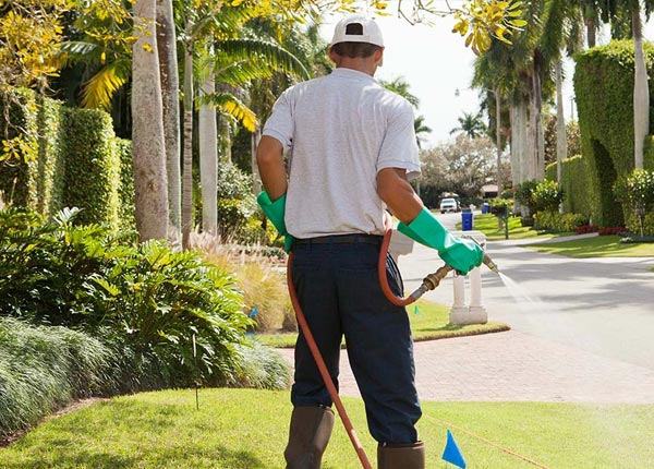 About Fenn ID Pest Control